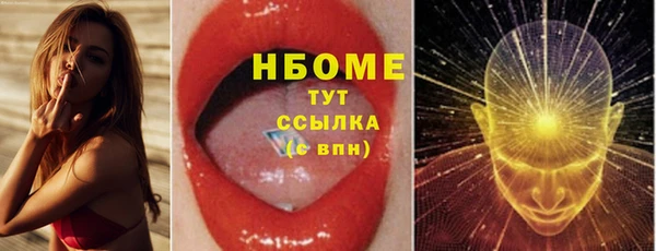 индика Бородино