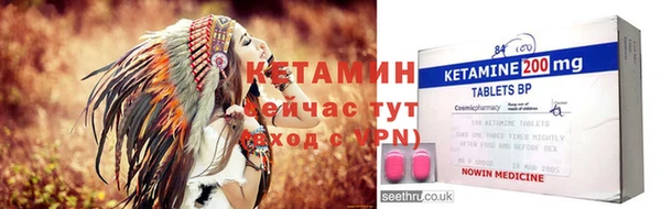 индика Бородино