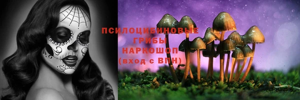 молекула духа Бронницы