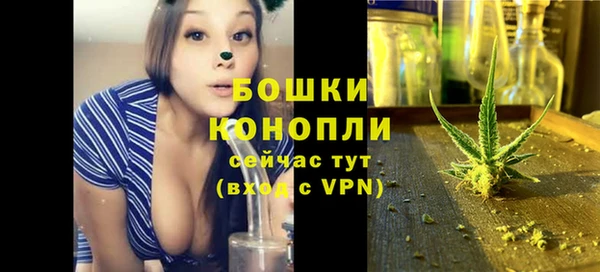 индика Бородино