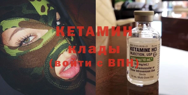 индика Бородино
